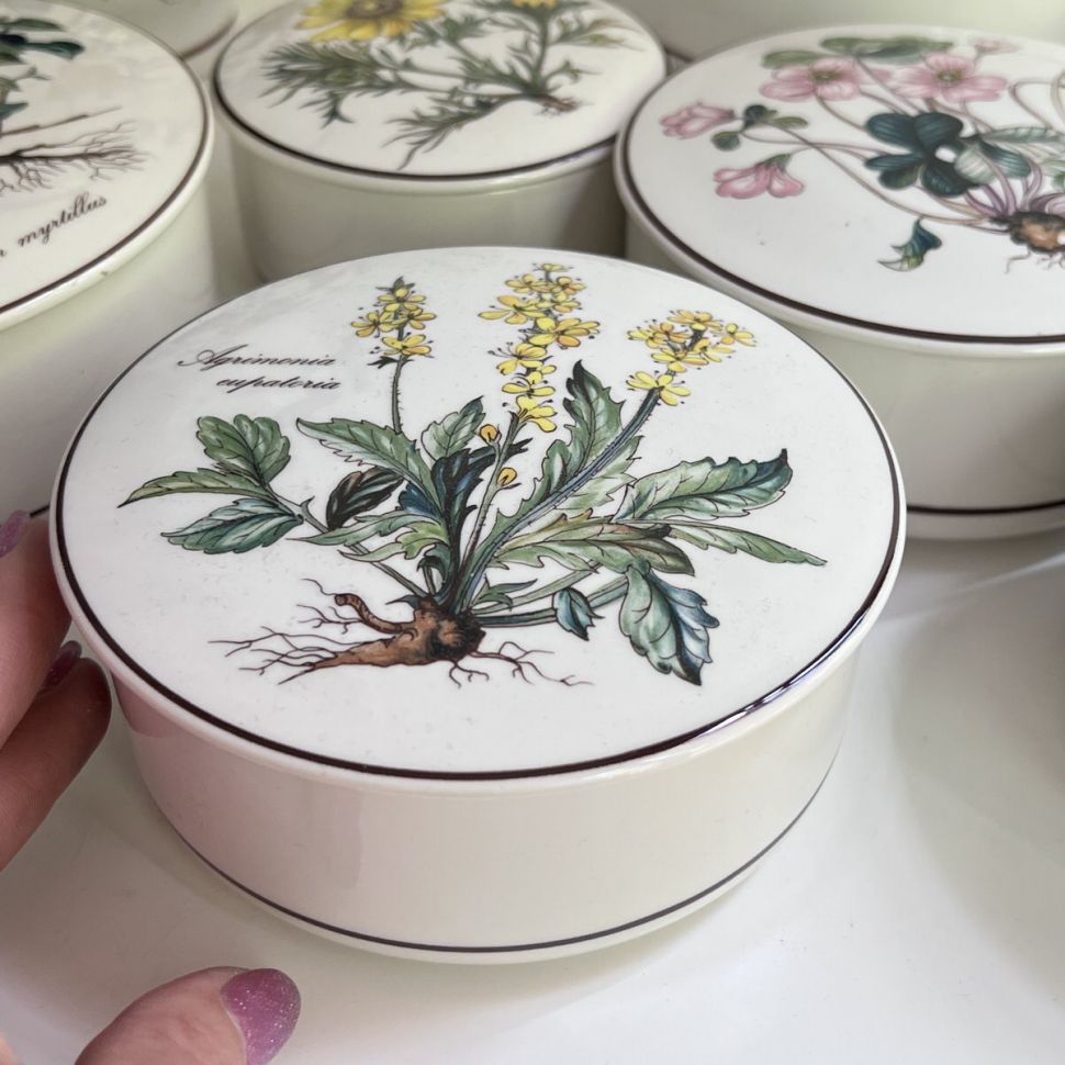 Шкатулка Botanica Agrimonia eupatoria 13 см ВиллеройБох