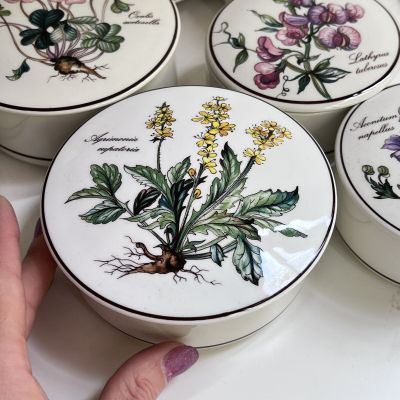 Шкатулка Botanica Agrimonia eupatoria 13 см ВиллеройБох