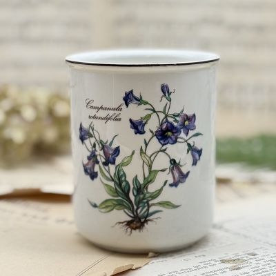 Банка ваза Botanica ВилеройБох 600 мл Колокольчик