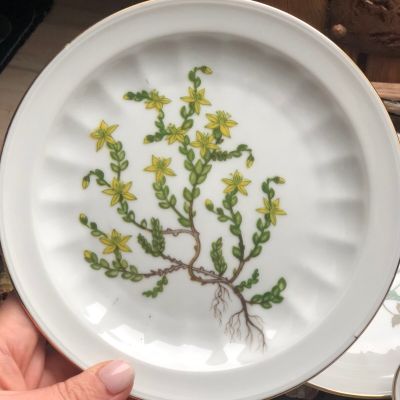 Тарелка 17 см Carl Von Linne Sedum Acre