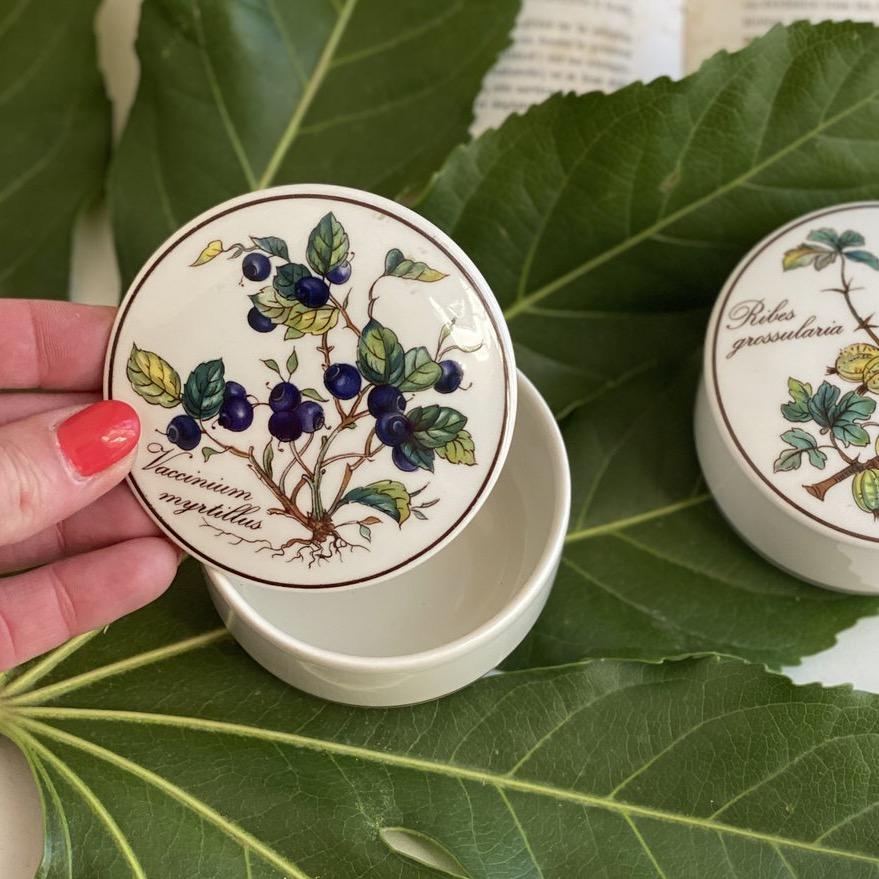 Шкатулка Botanica Vaccinium myrtillus 8 см ВиллеройБох