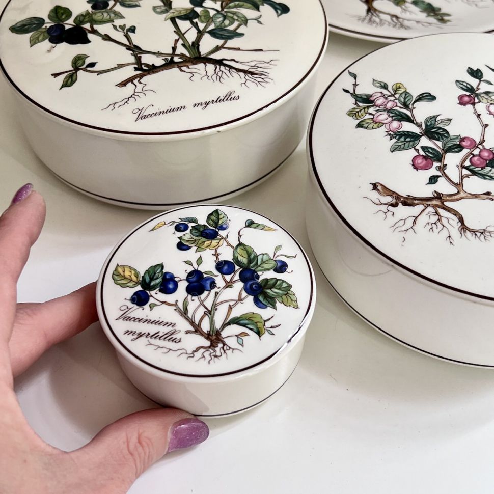 Шкатулка Botanica Vaccinium myrtillus 8 см ВиллеройБох