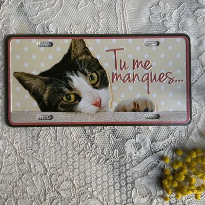 Табличка жестяная Я по тебе скучаю 18 х 9 см Франция