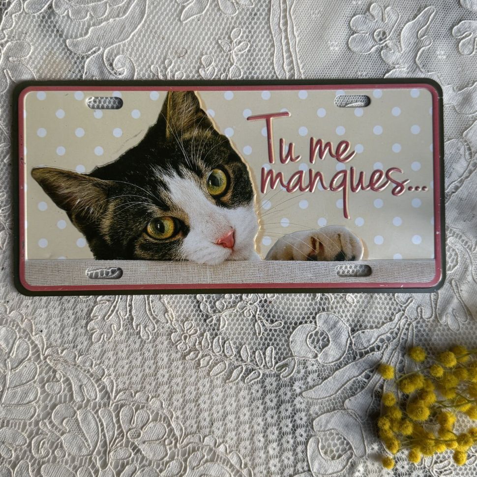 Табличка жестяная Я по тебе скучаю 18 х 9 см Франция