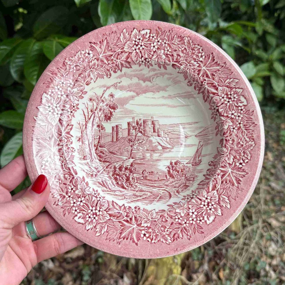 Тарелка глубокая English Ironstone Company красная 22 см Англия