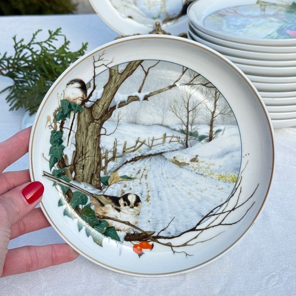 Тарелка Arzberg Birds of the Country Year Февраль 17 см фарфор Германия