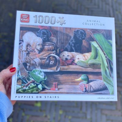Пазлы 1000 шт. Puppies on Stairs comic Нидерланды
