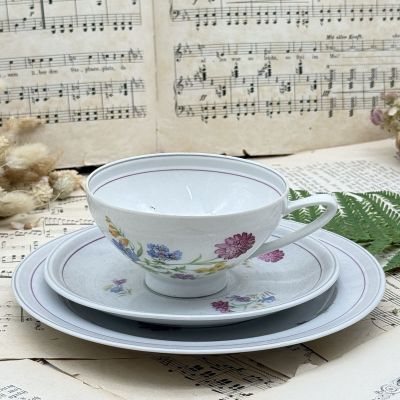 Чайное трио Reichenbach 220 мл фарфор Германия