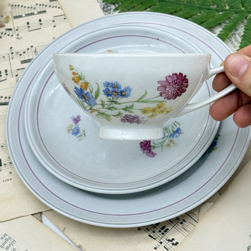 Чайное трио Reichenbach 220 мл фарфор Германия