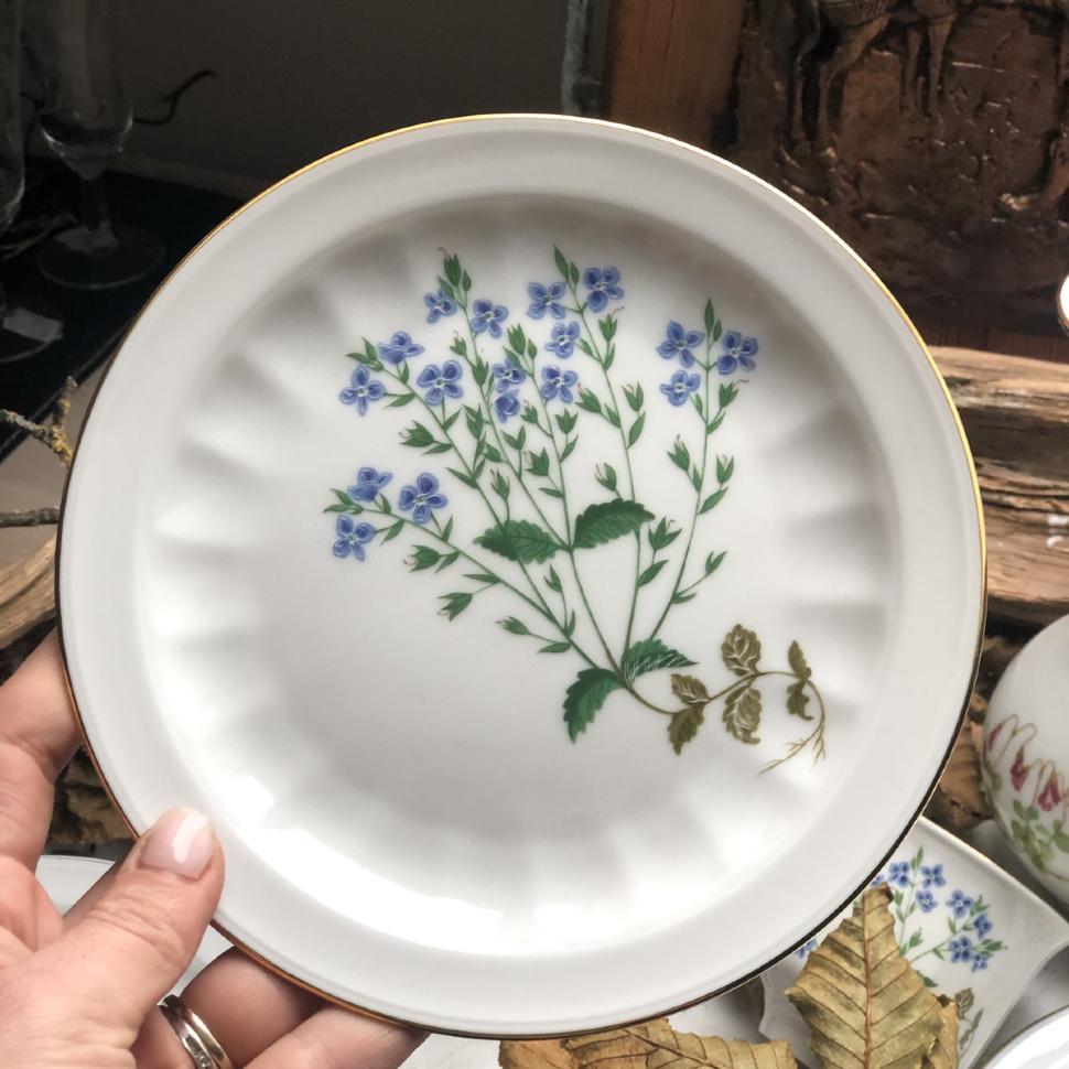 Тарелка 17 см Carl Von Linne Veronica Chamaedrys