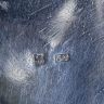 Стакан MARS 200 мл серебрение 