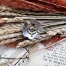 Брошь 4 см серебро золото