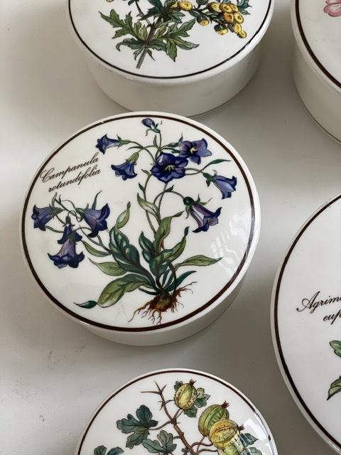 Шкатулка  Botanica Campanula rotundifolia 11 см ВиллеройБох