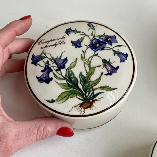 Шкатулка  Botanica Campanula rotundifolia 11 см ВиллеройБох