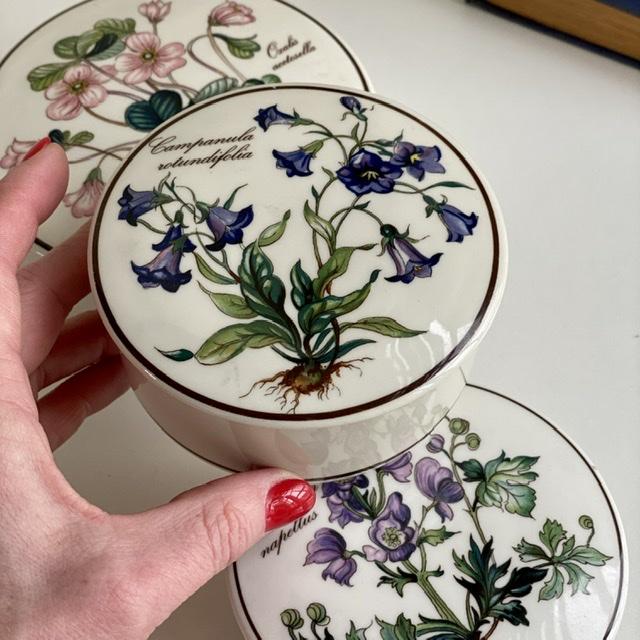 Шкатулка  Botanica Campanula rotundifolia 11 см ВиллеройБох