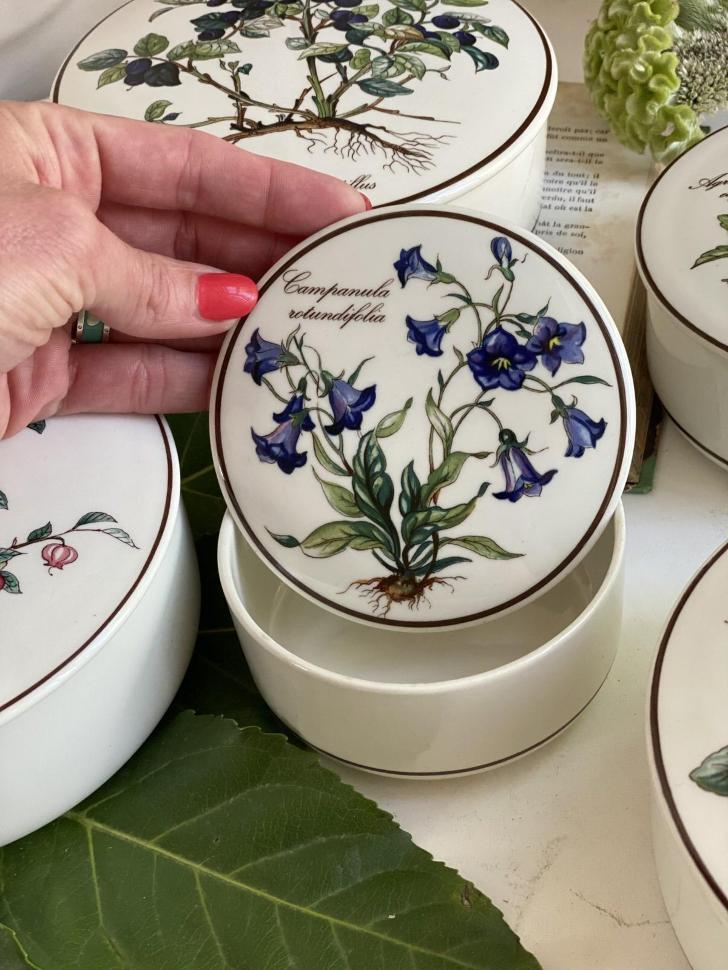 Шкатулка  Botanica Campanula rotundifolia 11 см ВиллеройБох