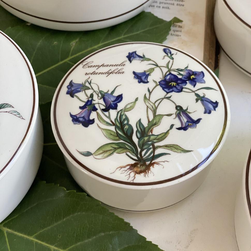 Шкатулка  Botanica Campanula rotundifolia 11 см ВиллеройБох