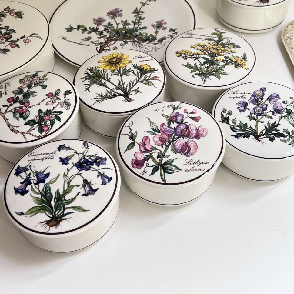 Шкатулка  Botanica Campanula rotundifolia 11 см ВиллеройБох