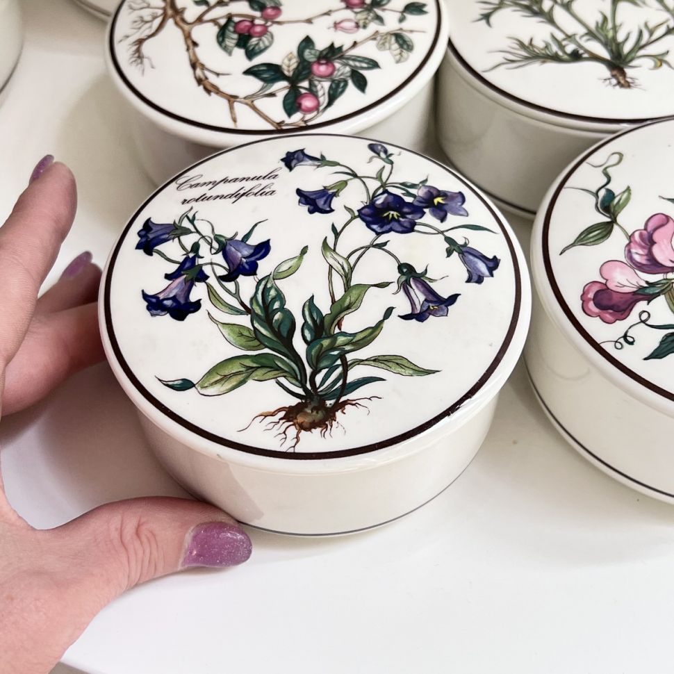 Шкатулка  Botanica Campanula rotundifolia 11 см ВиллеройБох