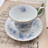 Чайная пара Royal Albert Blue Blossom 200 мл Англия