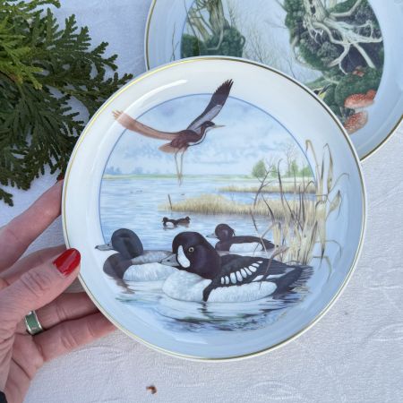 Тарелка Arzberg Birds of the Country Year Октябрь 17 см фарфор Германия