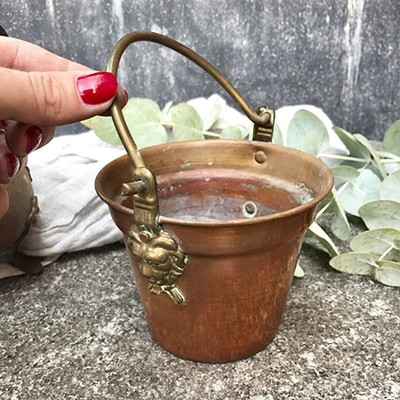 Ведерко кашпо со львами