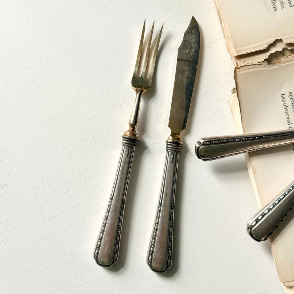 Вилка и нож для фруктов набор ручка серебро