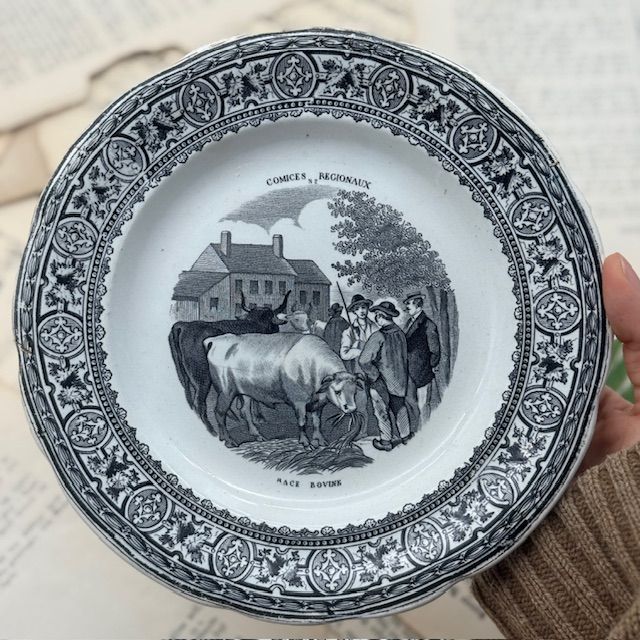 Тарелка Gien Comices Regionaux 20 см Франция  