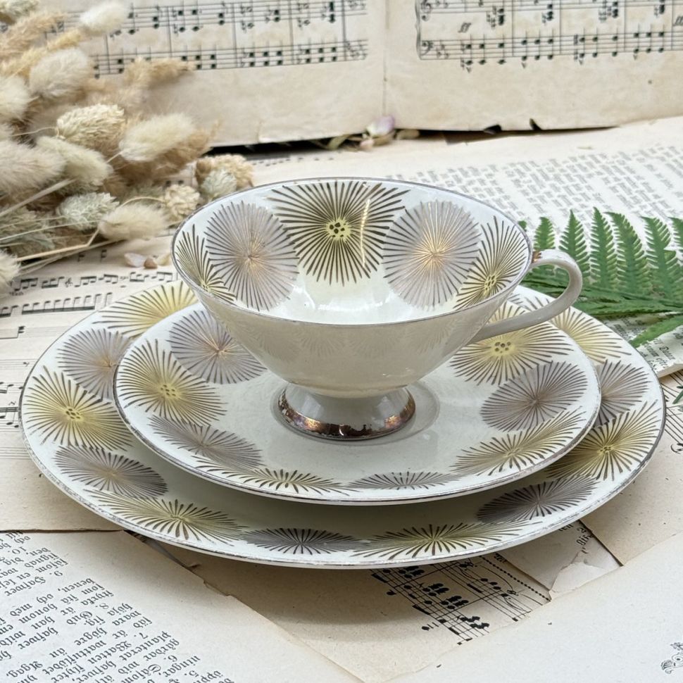 Чайное трио Schirnding 170 мл Германия  