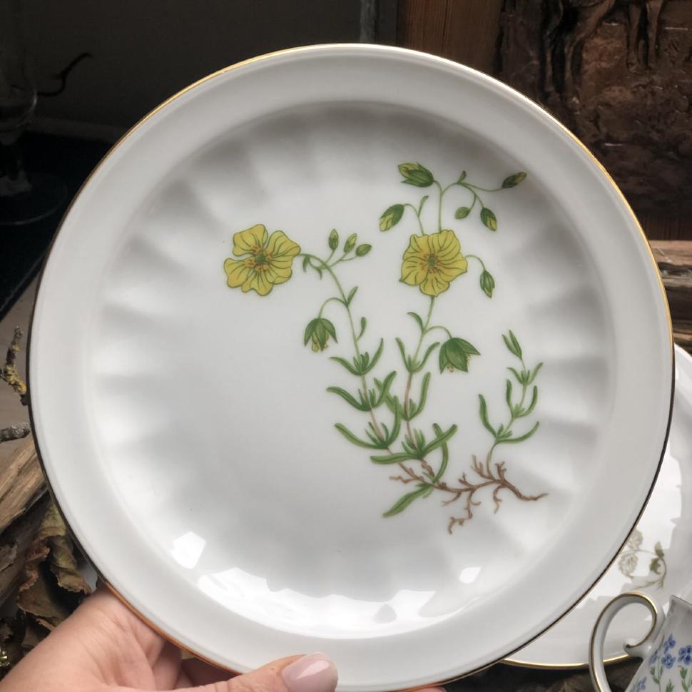 Тарелка 17 см Carl Von Linne Helianthemum Vulgare