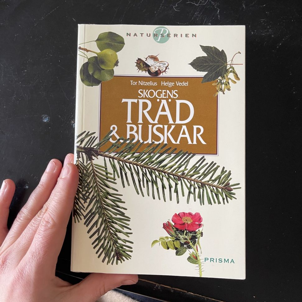 Книга Trad & Buskar 245 стр.