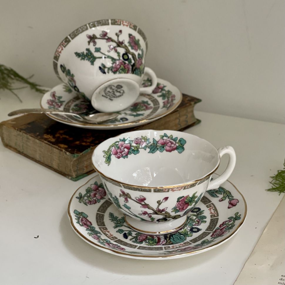 Чайная пара Royal Grafton Indian Tree 200 мл Англия