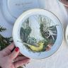 Тарелка Arzberg Birds of the Country Year Ноябрь 17 см фарфор Германия