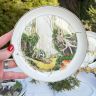 Тарелка Arzberg Birds of the Country Year Ноябрь 17 см фарфор Германия