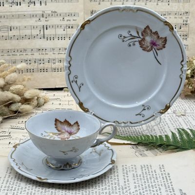 Чайное трио Unger & Schilde Roschutz 170 мл фарфор Германия 