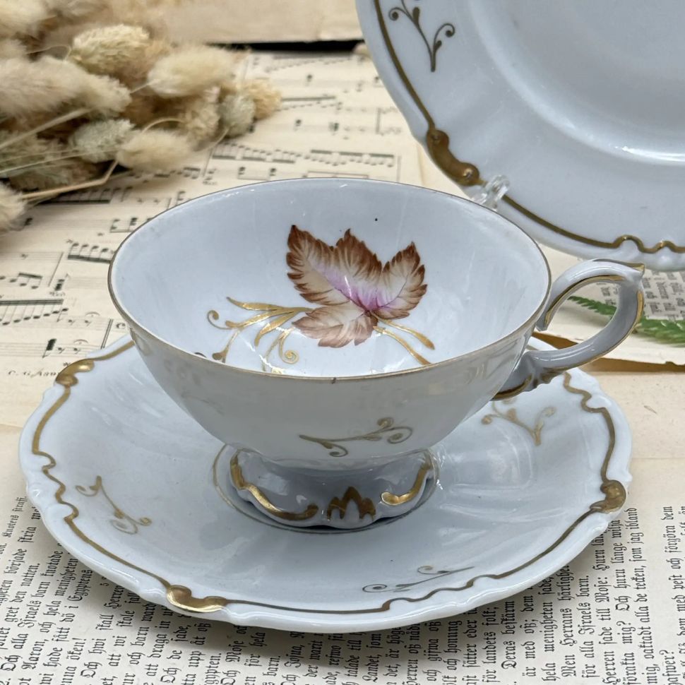 Чайное трио Unger & Schilde Roschutz 170 мл фарфор Германия 