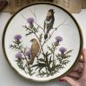 Тарелка Franklin Porcelain Wedgwood Songbirds of the World Bobolink 1977 г 28 см