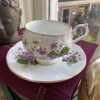 Чайная пара костяной фарфор Springfild Англия