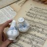 Солонка перечница набор 2 предмета Royal Albert Blue Blossom Англия