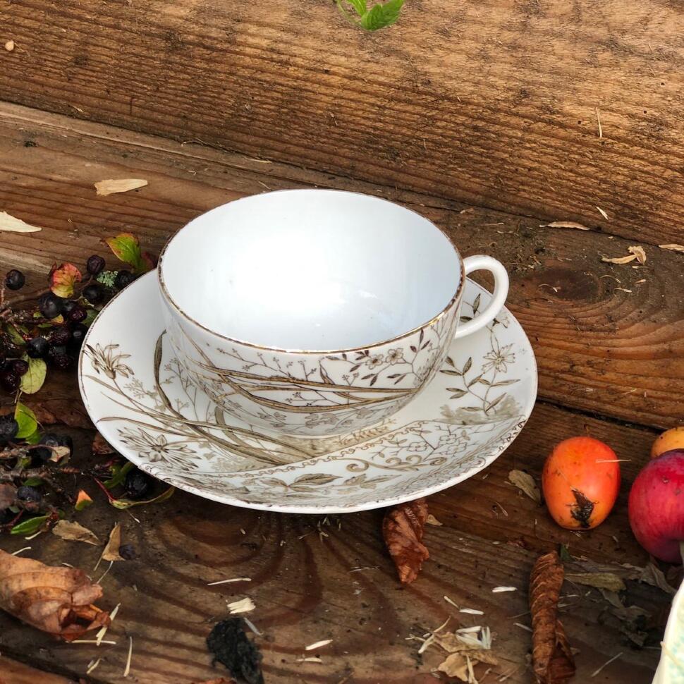 Чайная пара 260 мл Peking фарфор