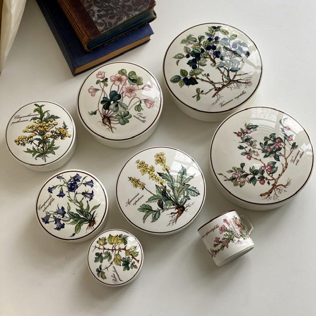 Шкатулка Botanica Aconitum napellus 11 см ВиллеройБох