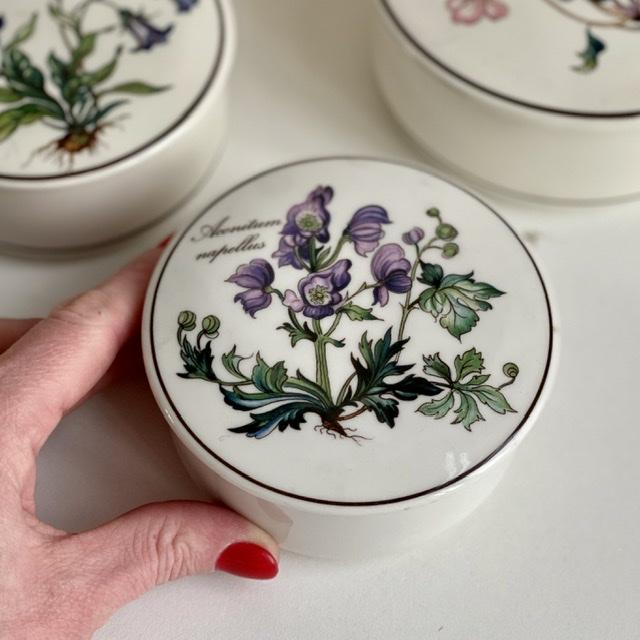 Шкатулка Botanica Aconitum napellus 11 см ВиллеройБох