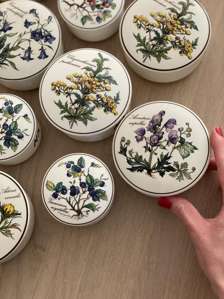 Шкатулка Botanica Aconitum napellus 11 см ВиллеройБох