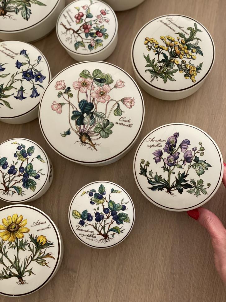 Шкатулка Botanica Aconitum napellus 11 см ВиллеройБох