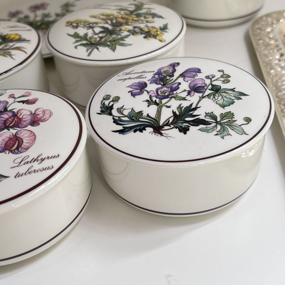 Шкатулка Botanica Aconitum napellus 11 см ВиллеройБох