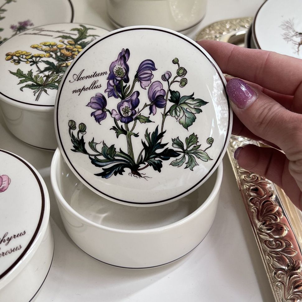 Шкатулка Botanica Aconitum napellus 11 см ВиллеройБох