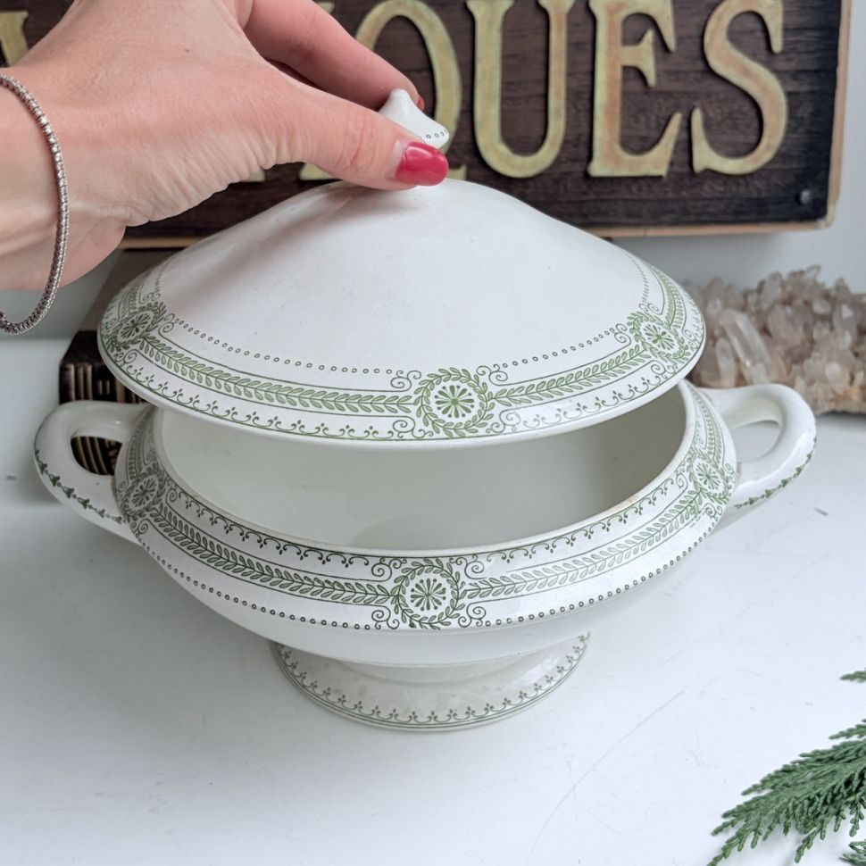 Супница террин 1.2 л CARINA U&C SARREGUEMINES Франция