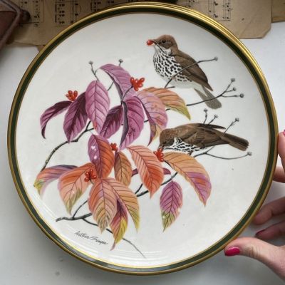 Тарелка Franklin Porcelain Wedgwood Songbirds of the World Wood Trush 1977 г 28 см