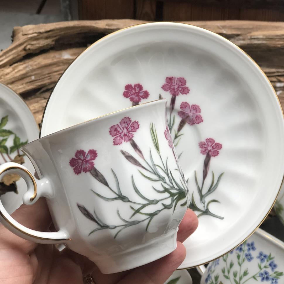 Кофейная пара 125 мл Carl Von Linne Dianthus Deltoides 1982 (трещина)