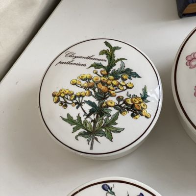 Шкатулка Botanica Chrysantemum 11 см ВиллеройБох